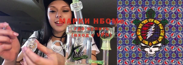 шишки Нестеровская