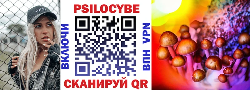 цены наркотик  Приозерск  Галлюциногенные грибы мухоморы 